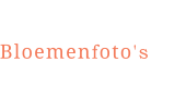 Bloemenfoto's